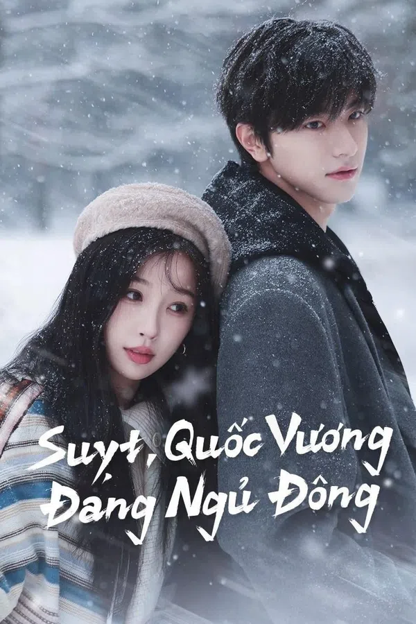 Poster phim Suỵt, Quốc Vương Đang Ngủ Đông trên Xem Phim Fun